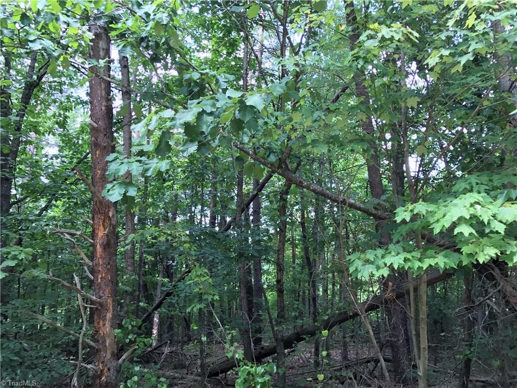 Lot 3 Eden Church Road Madison, NC 27025 - Photo 10 of 15 Partially wooded