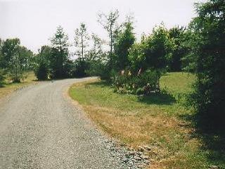 2097 Fulton Road Santa Rosa, CA 95403 - Photo 3 of 5 a view of a yard with trees