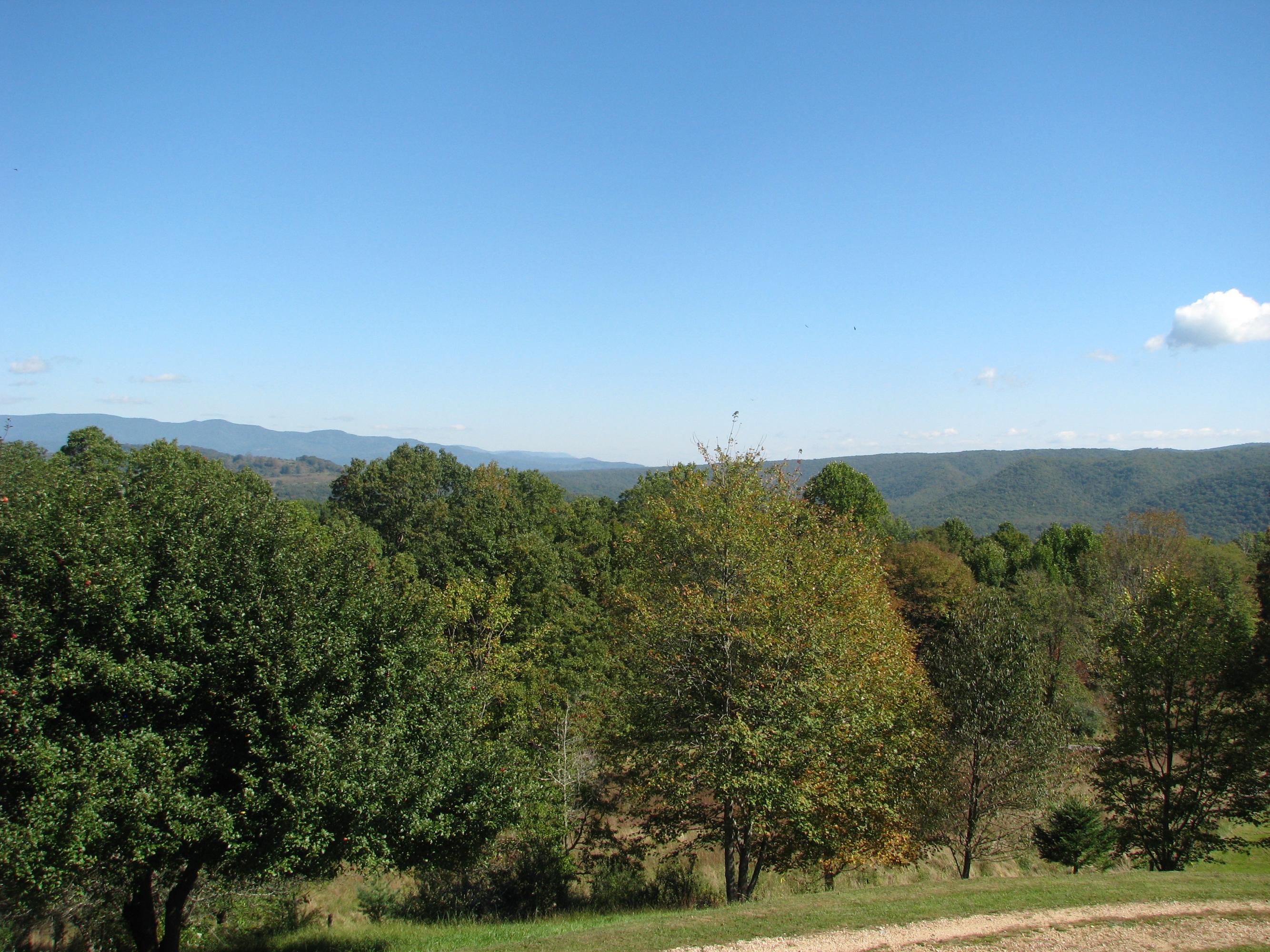 8548 Denmar Road Hillsboro, WV 24946 - Photo 19 of 38 Gallery Image 19