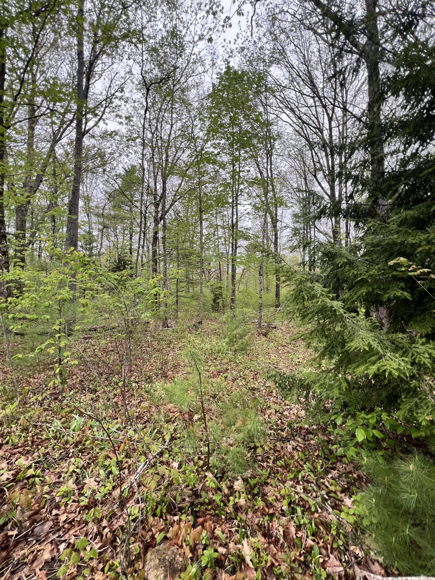 1660 Main Road Greenbush, ME 04418 - Photo 6 of 57 IMG_8412