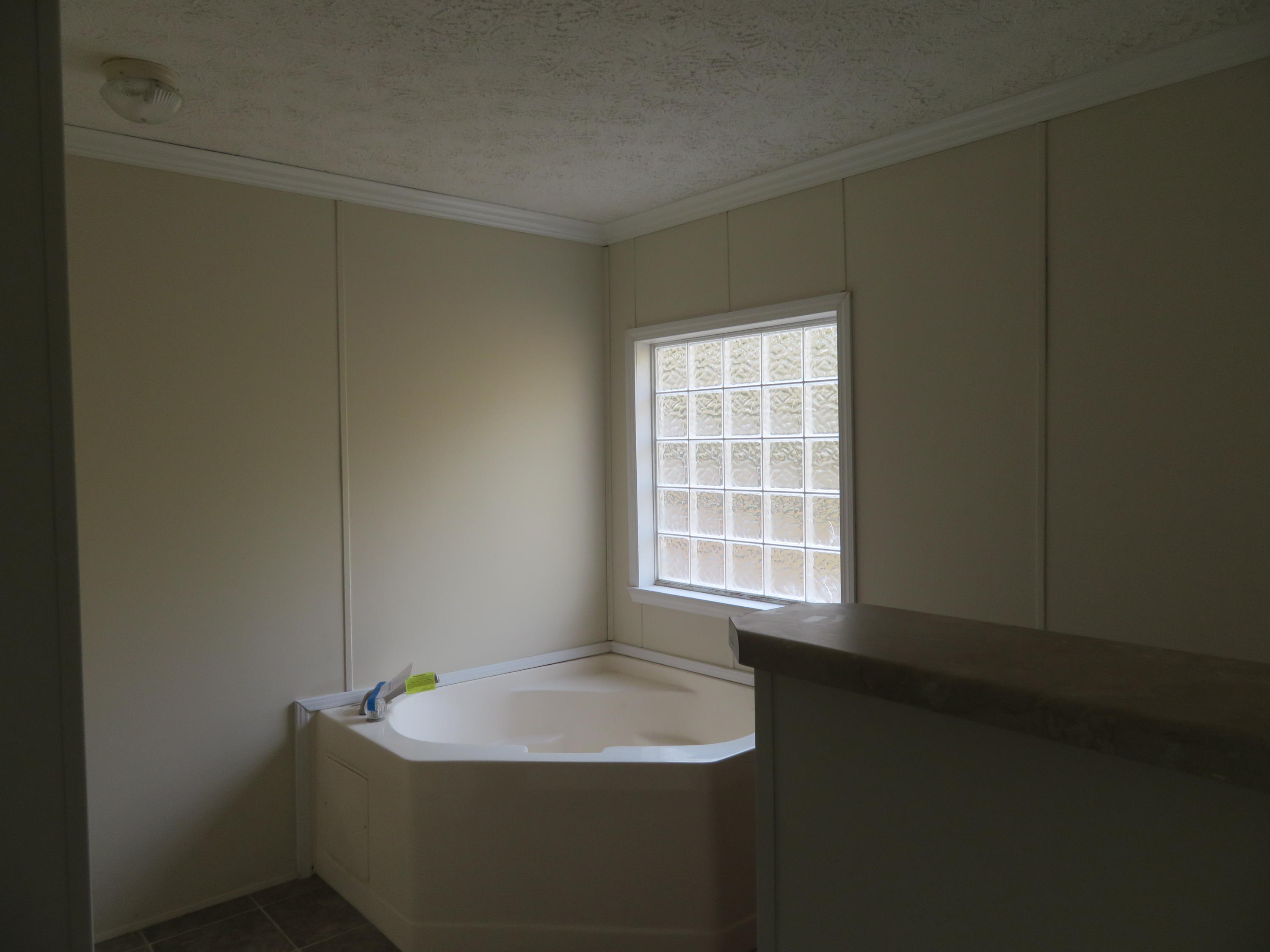 75 Hydrick Road Ruffin, SC 29475 - Photo 13 of 23 Master bath