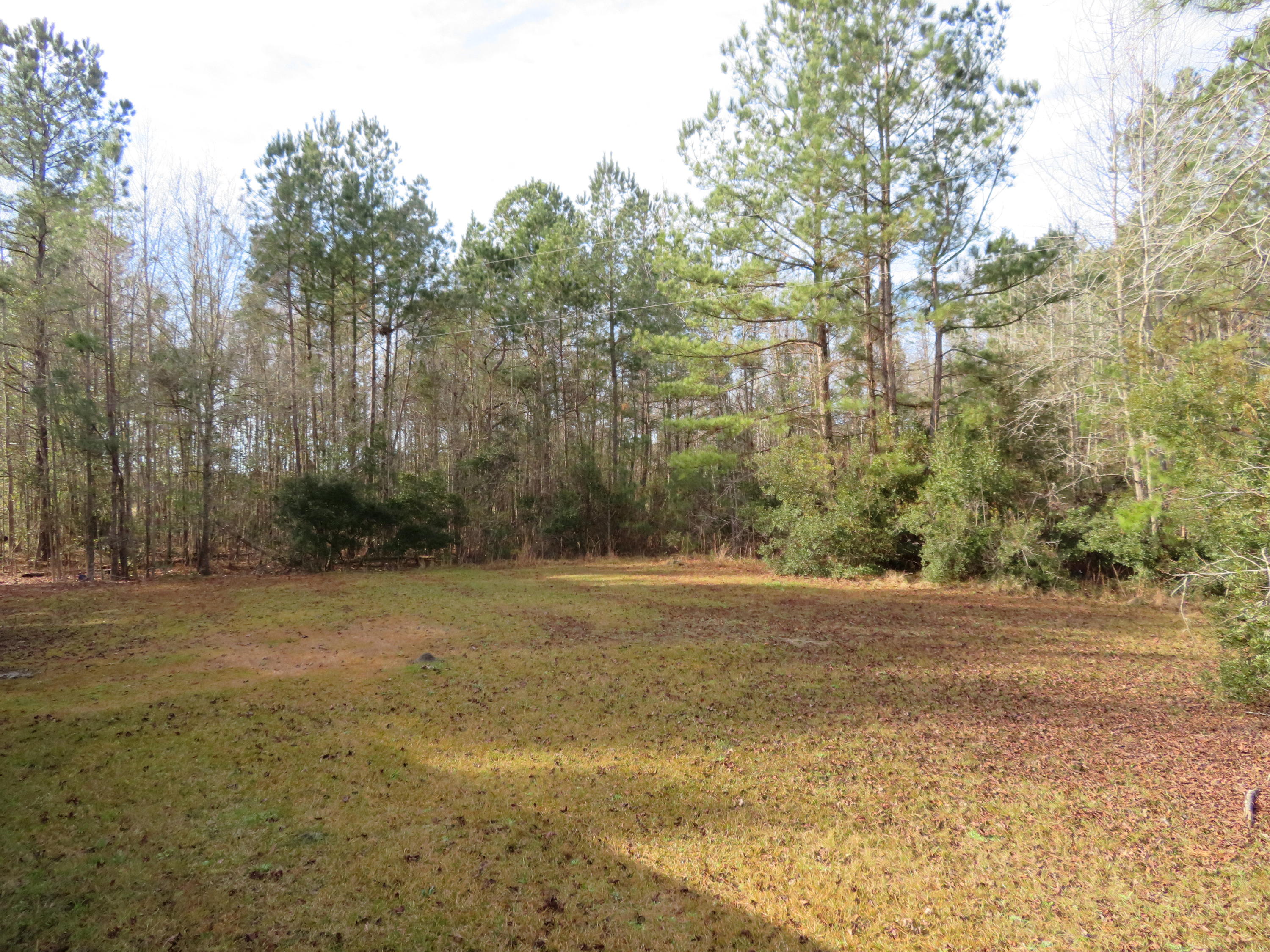 75 Hydrick Road Ruffin, SC 29475 - Photo 20 of 23 IMG_0112