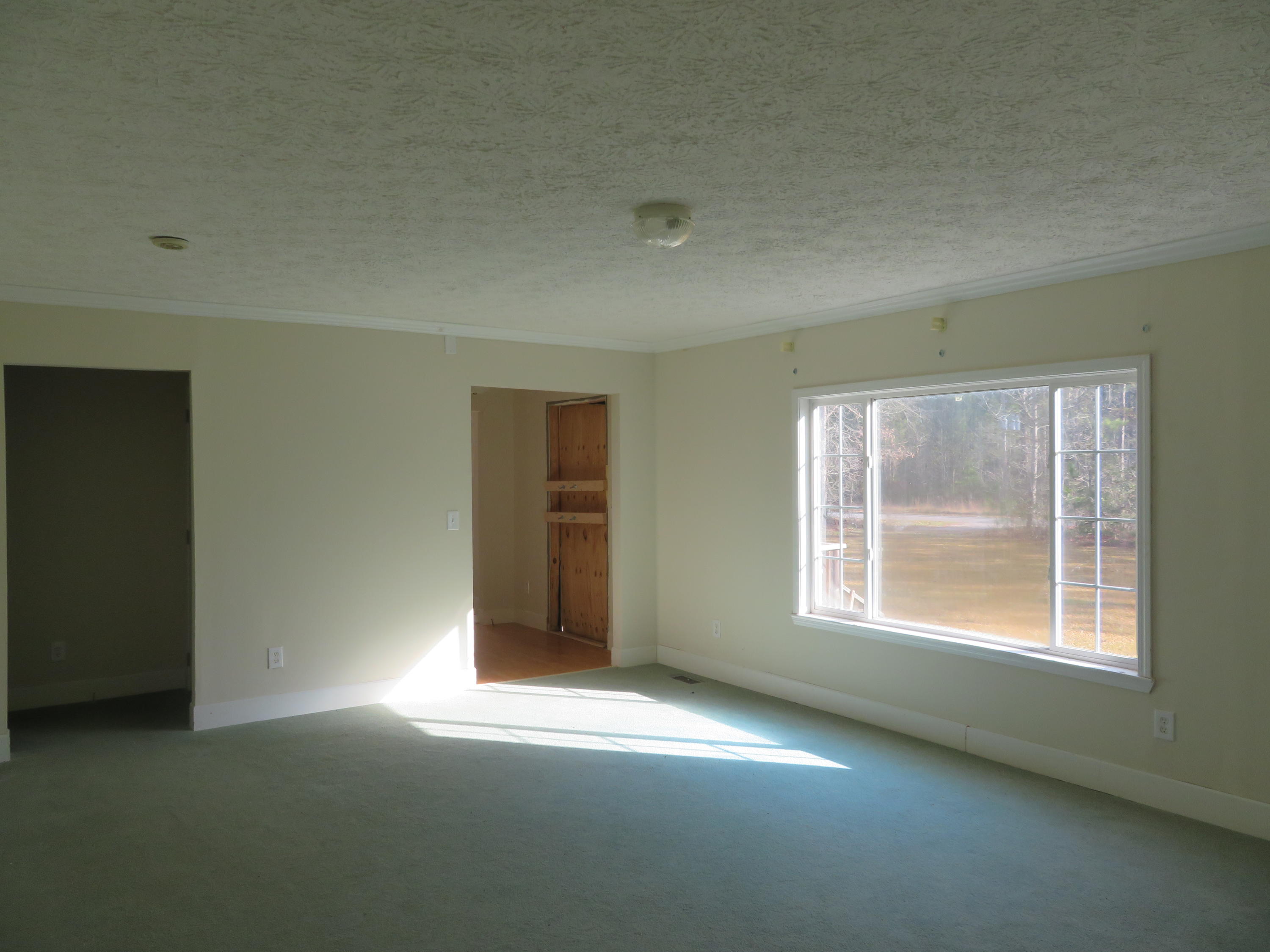 75 Hydrick Road Ruffin, SC 29475 - Photo 3 of 23 Living Room