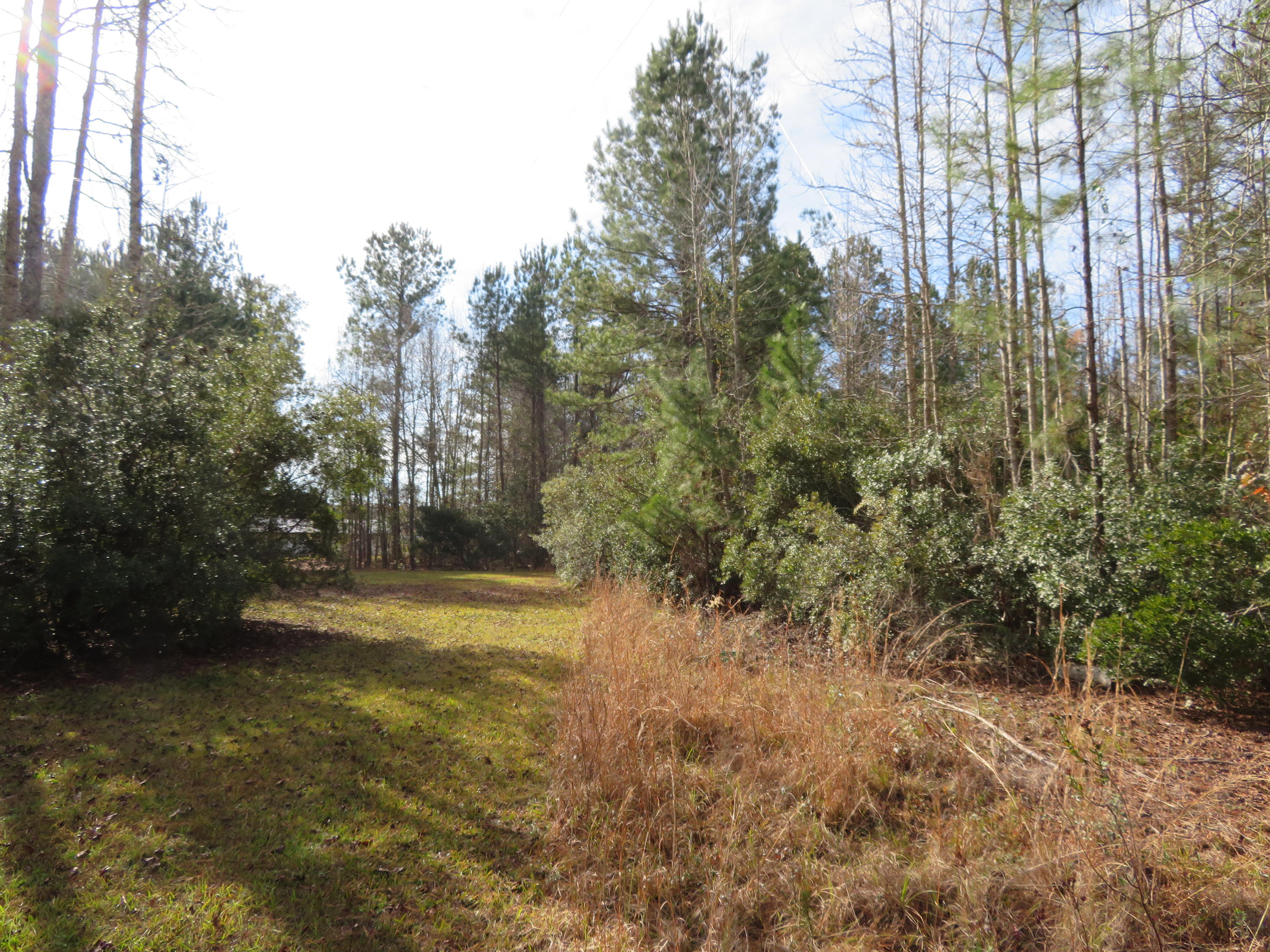 75 Hydrick Road Ruffin, SC 29475 - Photo 21 of 23 IMG_0113