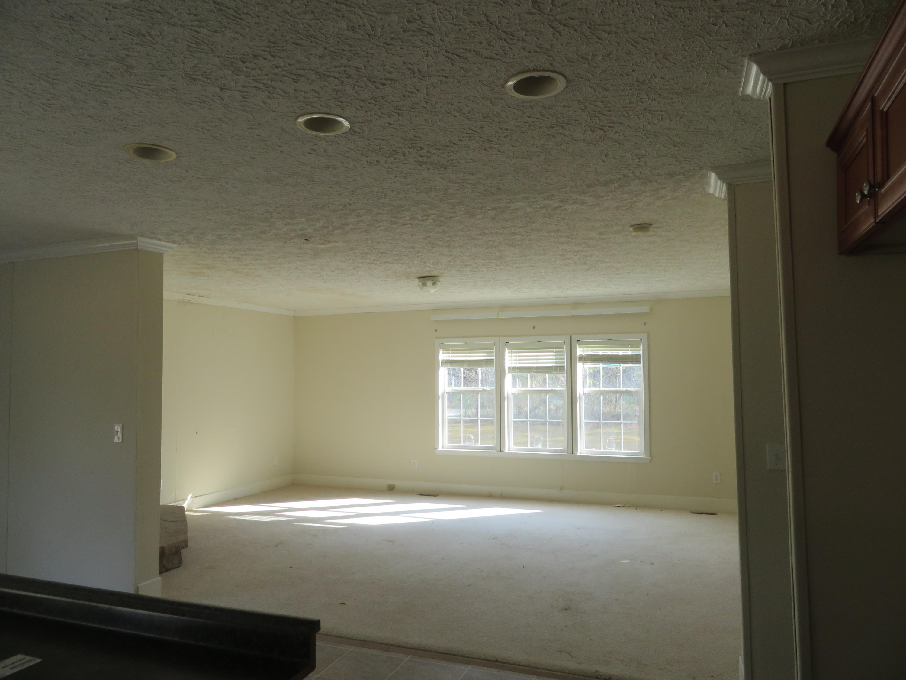 75 Hydrick Road Ruffin, SC 29475 - Photo 5 of 23 Family
