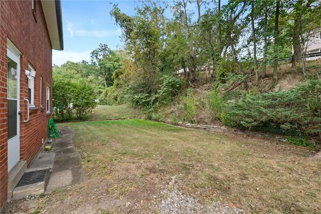 a view of a yard with plants and large trees