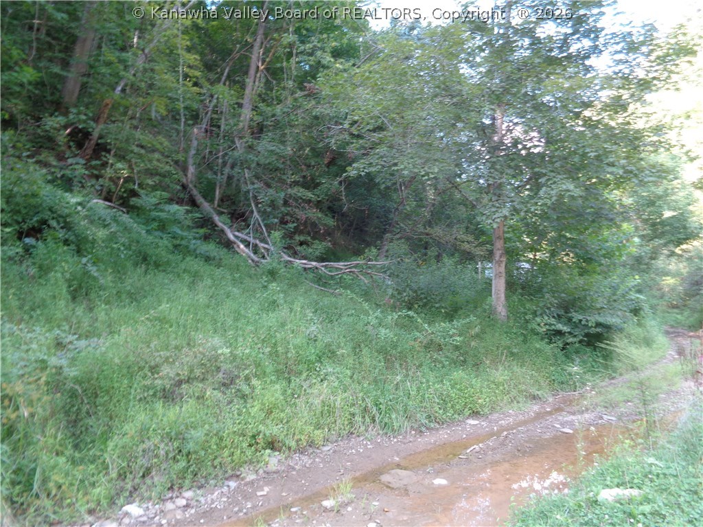 0 Fudge Branch Elkview, WV 25071 - Photo 7 of 8 Gallery Image 7