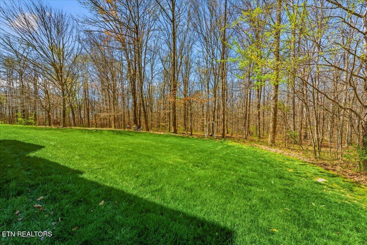 213 Andorra Lane Clinton, TN 37716 - Photo 13 of 60 46-Exterior