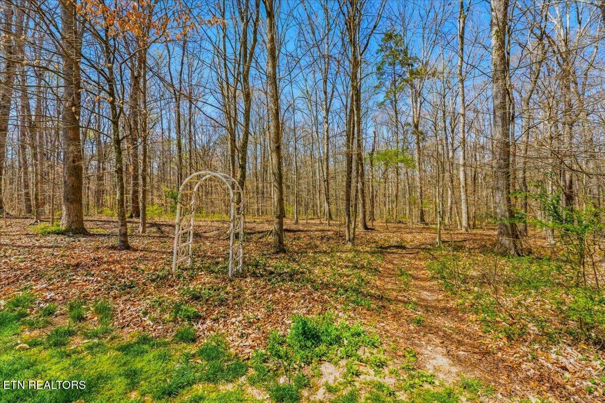 213 Andorra Lane Clinton, TN 37716 - Photo 14 of 60 47-Exterior