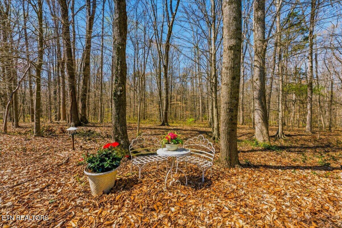 213 Andorra Lane Clinton, TN 37716 - Photo 15 of 60 48-Exterior