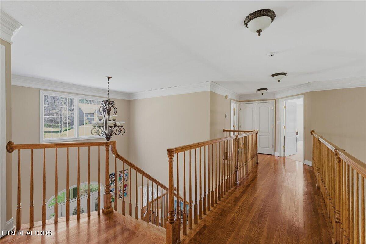 213 Andorra Lane Clinton, TN 37716 - Photo 36 of 60 24-Catwalk