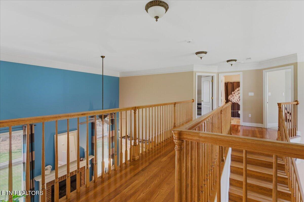 213 Andorra Lane Clinton, TN 37716 - Photo 49 of 60 37-Catwalk