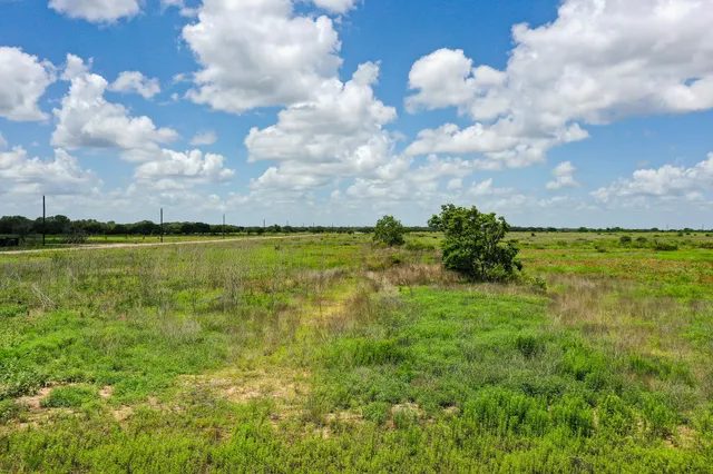 a view of a large body of water with lots of green space