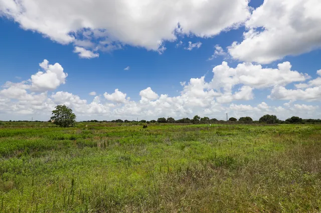 a sunset view with lot of flowers