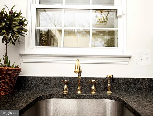 a view of a dry yard with trees