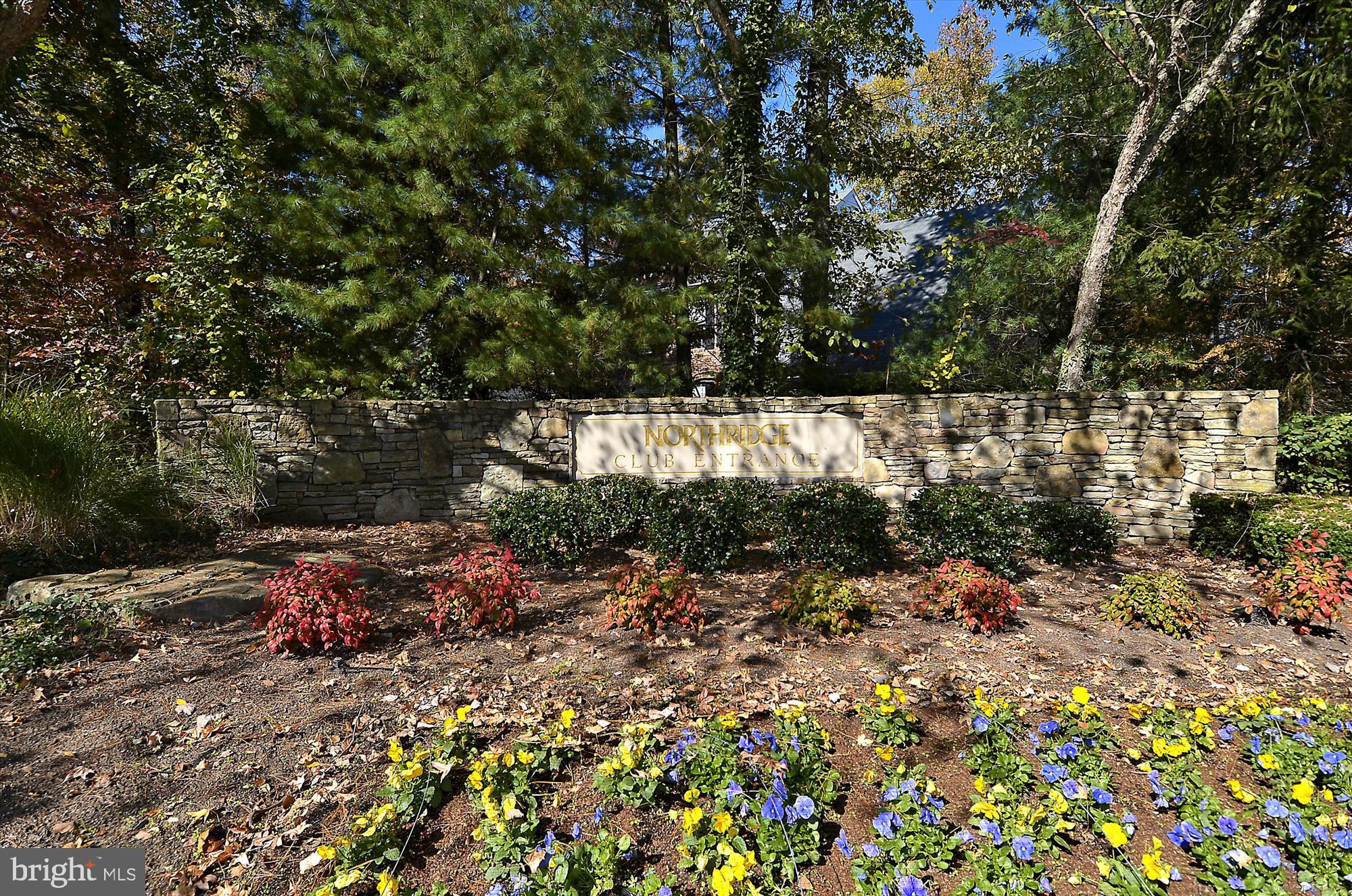 12113 Quilt Patch Lane Bowie, MD 20720 - Photo 38 of 38 a backyard of a house with lots of green space