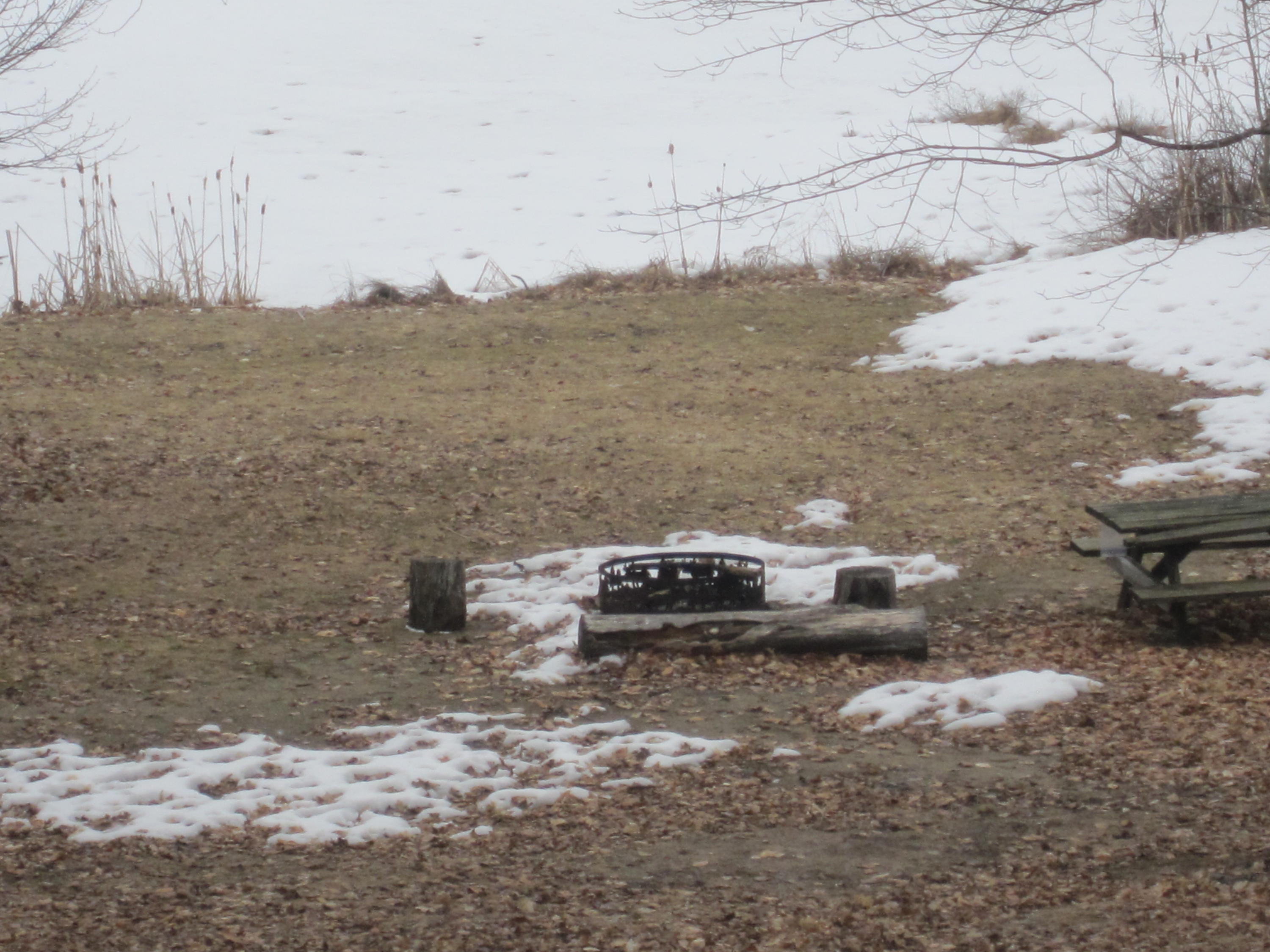 1375 North Chip Lake Road Germfask, MI 49836 - Photo 28 of 31 Gallery Image 28