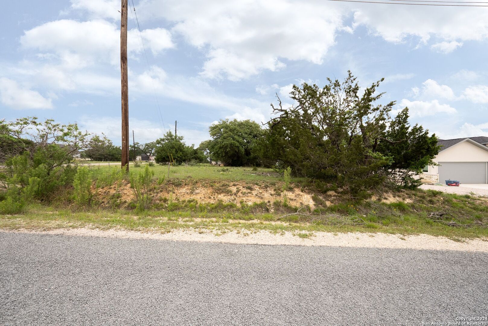 449 South Calvin Barrett Blanco, TX 78606 - Photo 19 of 23 a view of a yard with an tree
