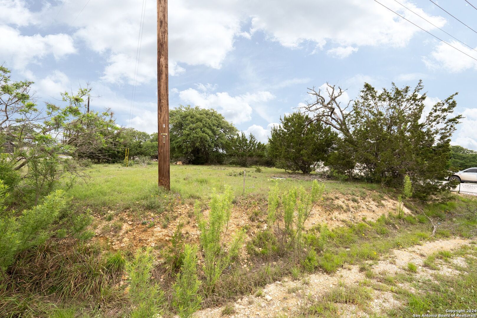 449 South Calvin Barrett Blanco, TX 78606 - Photo 20 of 23 a view of yard with tree in the background