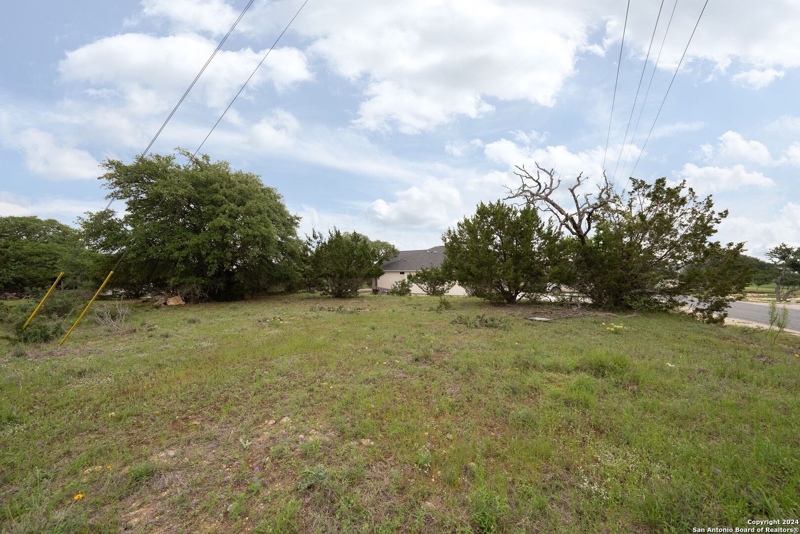449 South Calvin Barrett Blanco, TX 78606 - Photo 22 of 23 a view of a field with trees