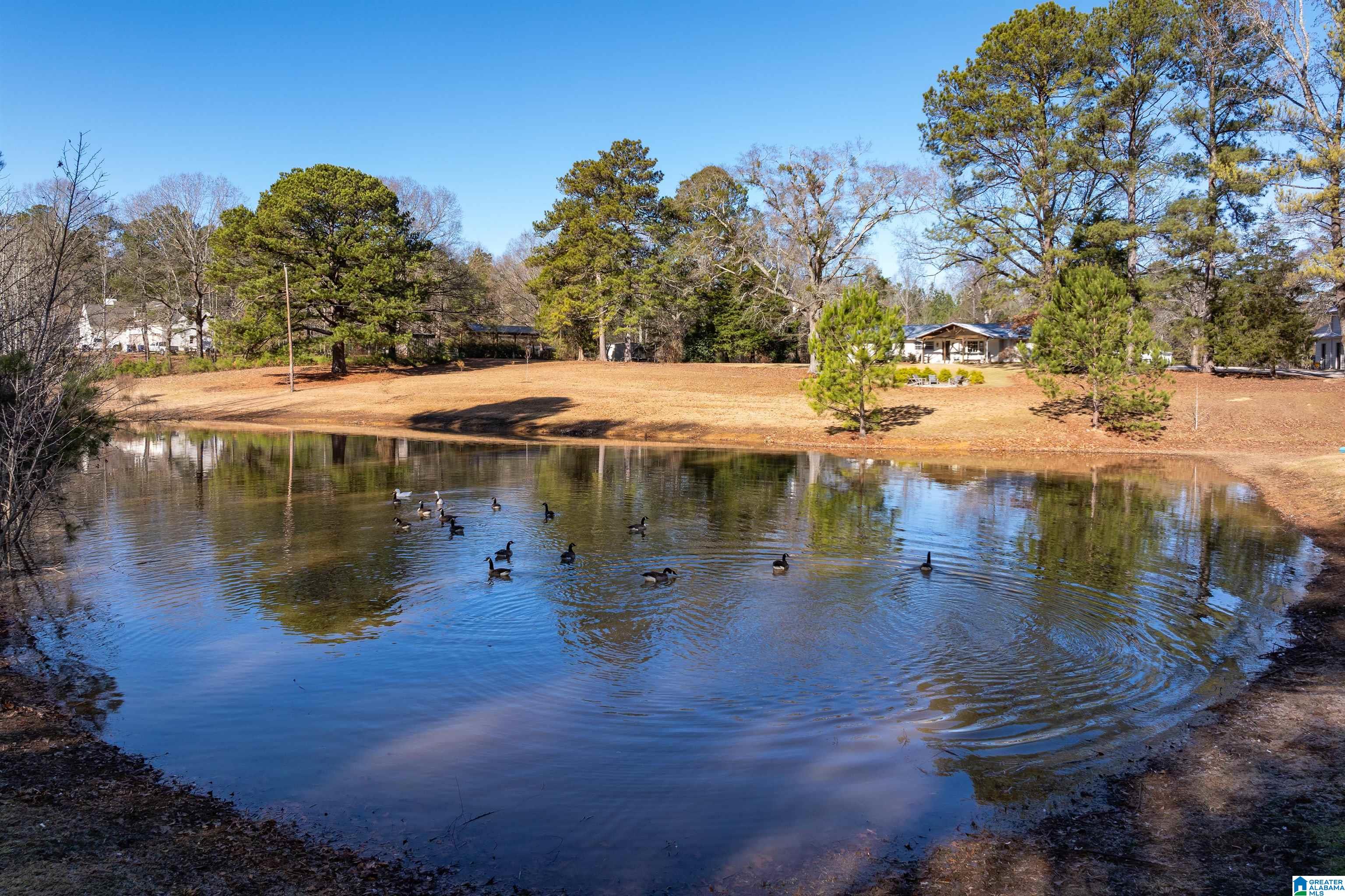 3342 County Road 39 Chelsea, AL 35043 - Photo 3 of 63