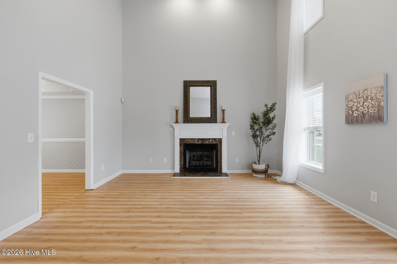 257 Rutherford Way Jacksonville, NC 28540 - Photo 6 of 43 Cathedral Ceilings