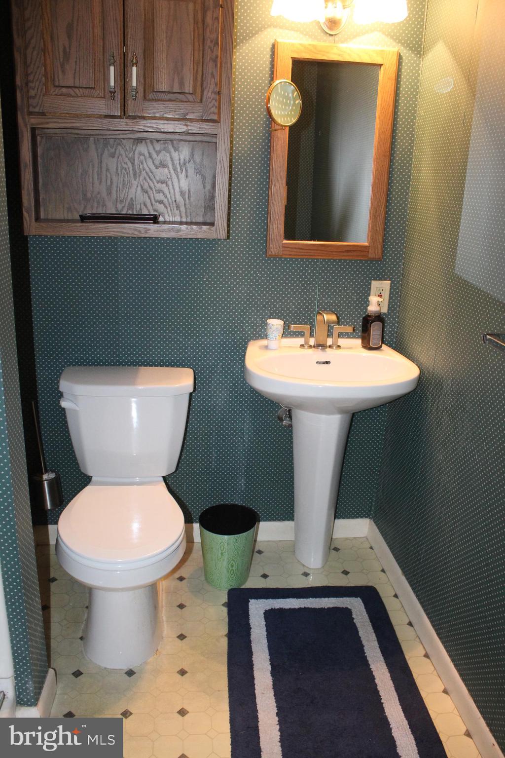 328 Longmeadow Road Lancaster, PA 17601 - Photo 31 of 38 Lower Level Full Bath