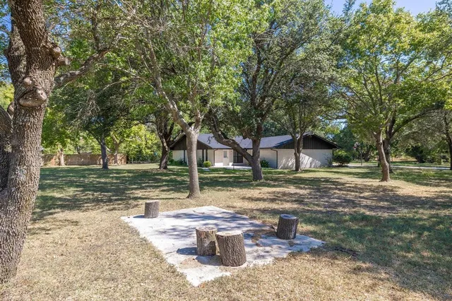 a view of a yard with plants and trees