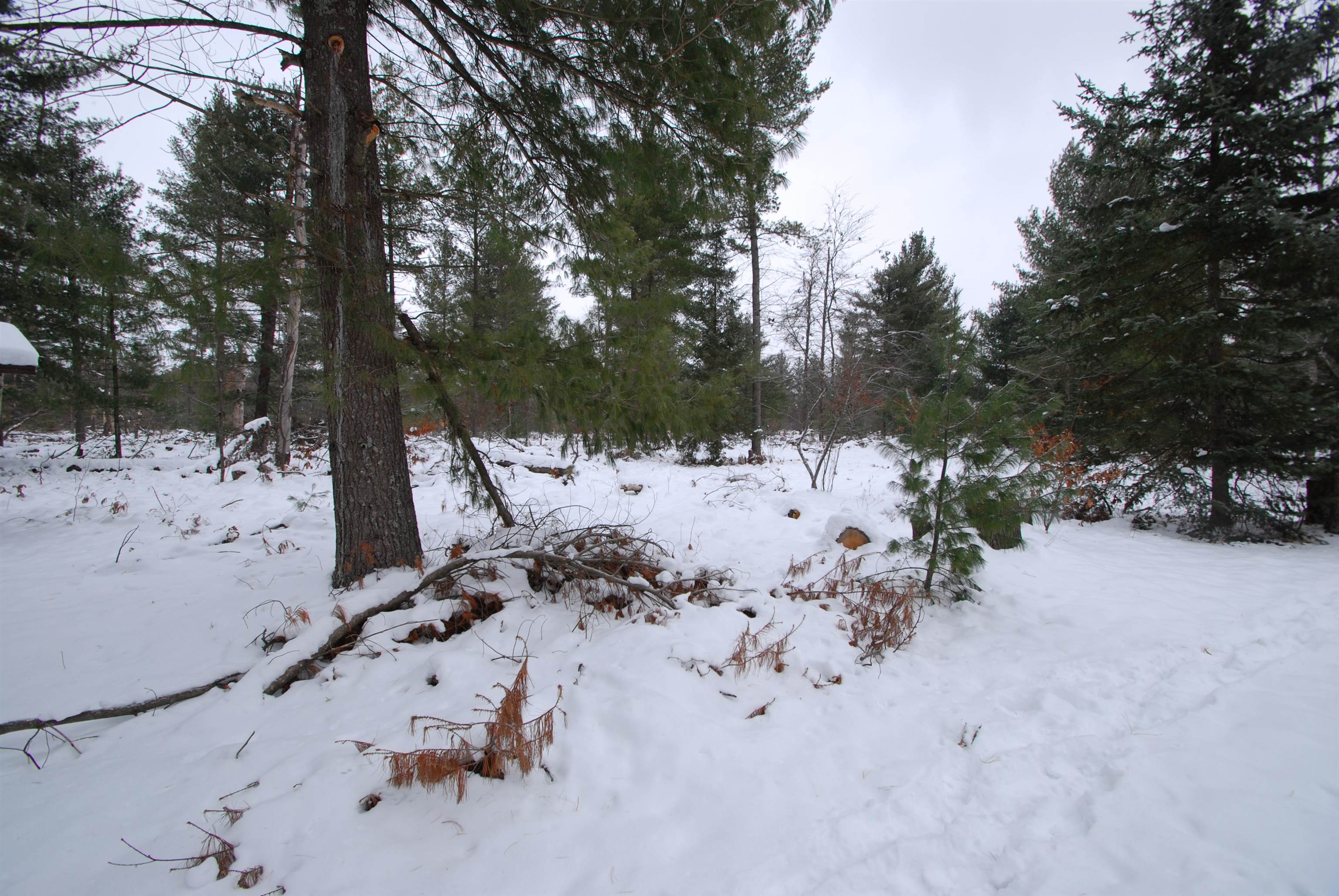 57 East Boehm Road West Branch, MI 48661 - Photo 40 of 49