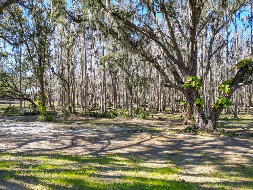 7405 Shoupe Road Plant City, FL 33565 - Photo 57 of 61