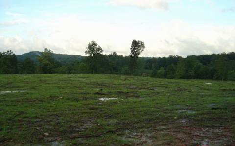 Lot 1 Burrelson Road Ellijay, GA 30536 - Photo 1 of 1 Main View