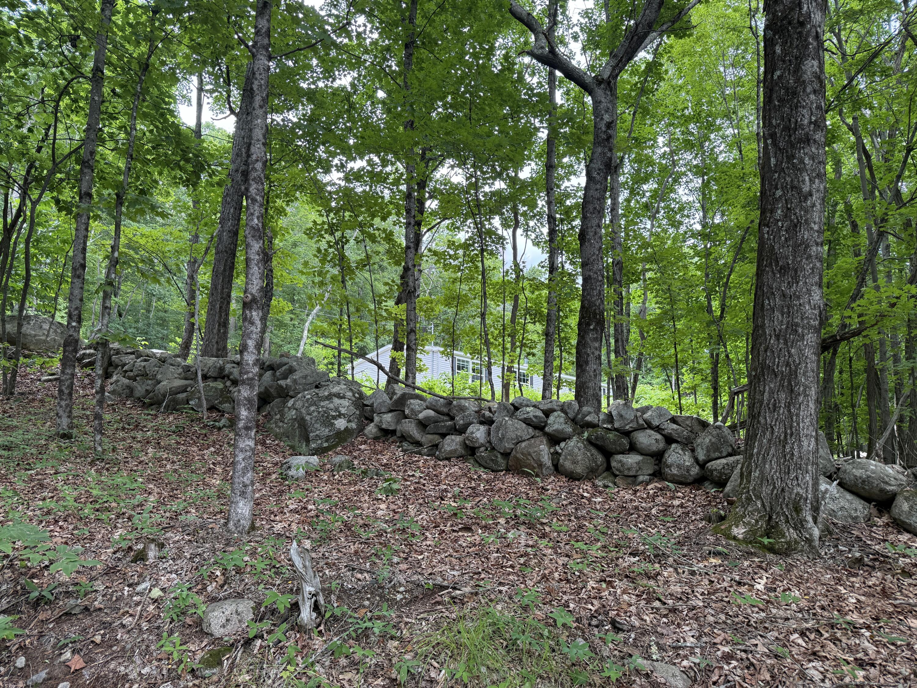 5 Moulton Ridge Road Porter, ME 04068 - Photo 36 of 41