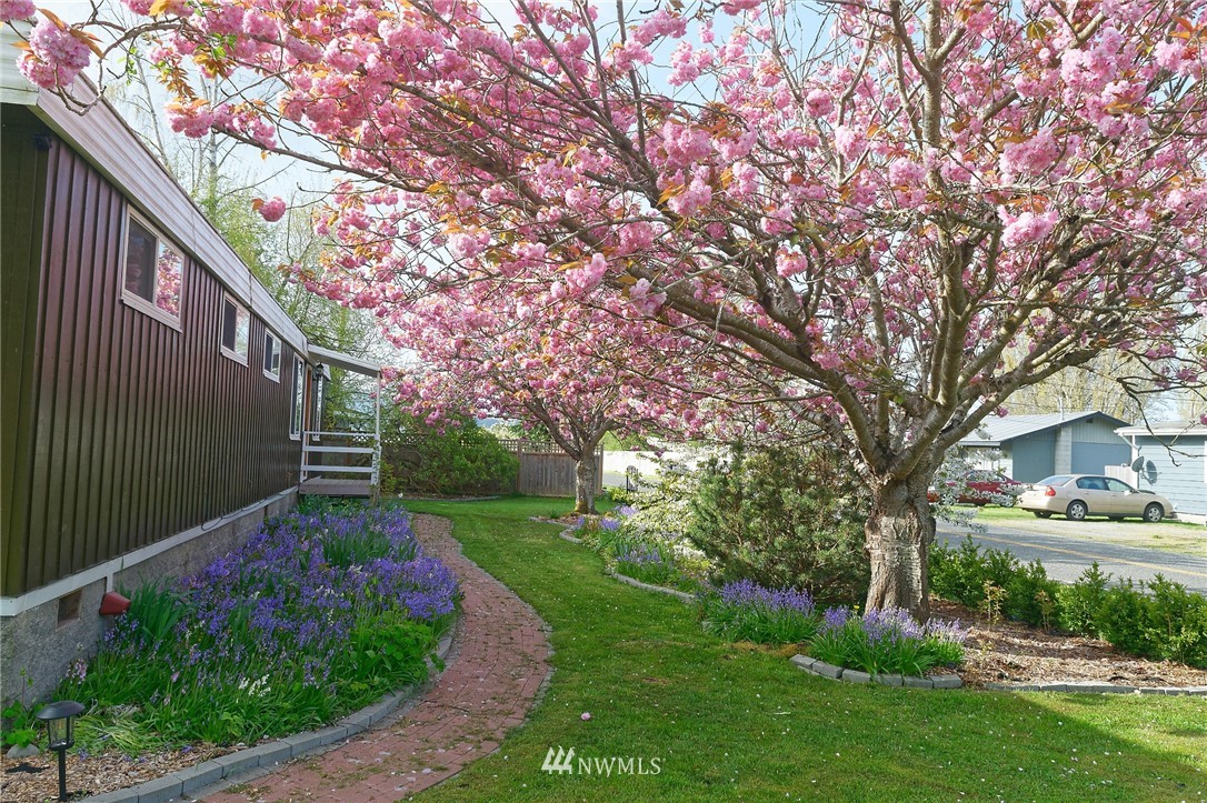 2586 Finkbonner Road Bellingham, WA 98226 - Photo 9 of 25 Gallery Image 9
