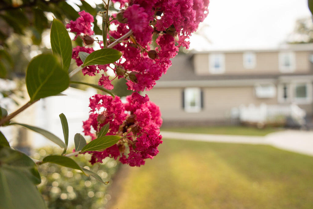 580 Possum Corner Road Walterboro, SC 29488 - Photo 45 of 51 3T6A7196