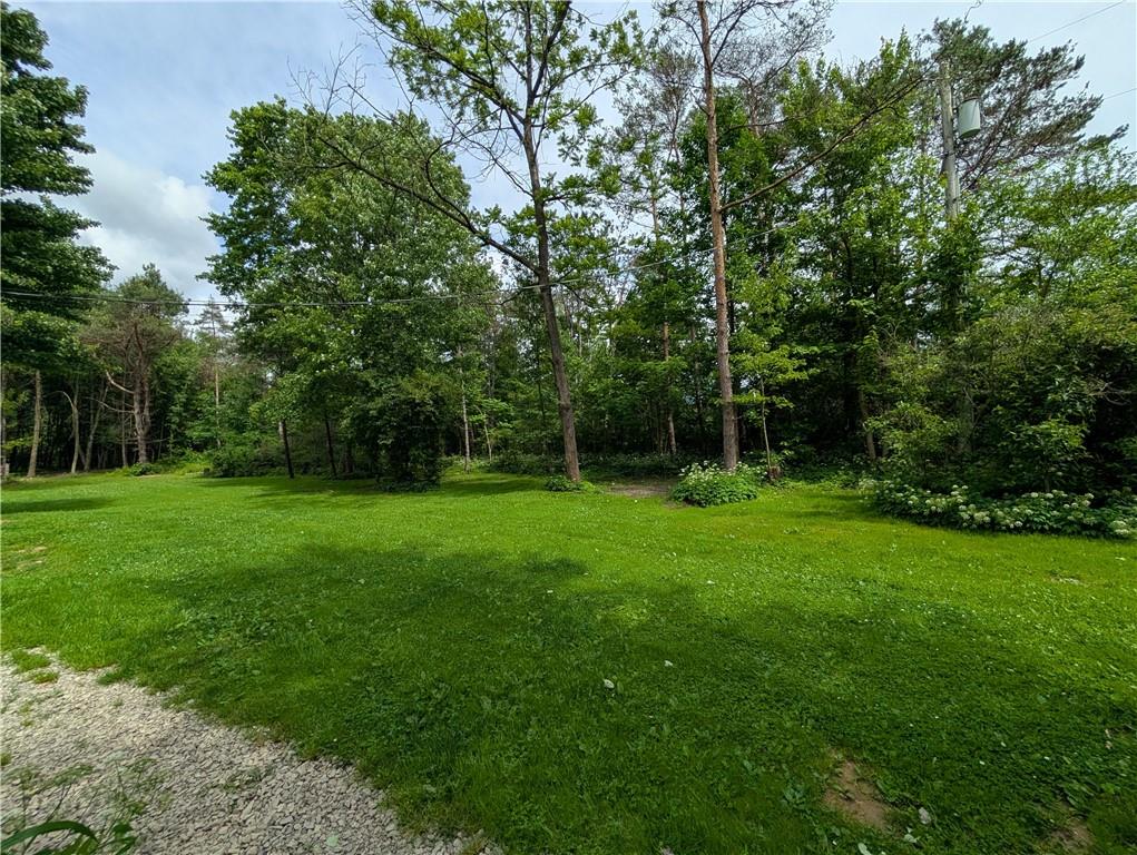3046 Oneida Valley Road Hilliards, PA 16040 - Photo 23 of 28 Lots of Berry Bushes