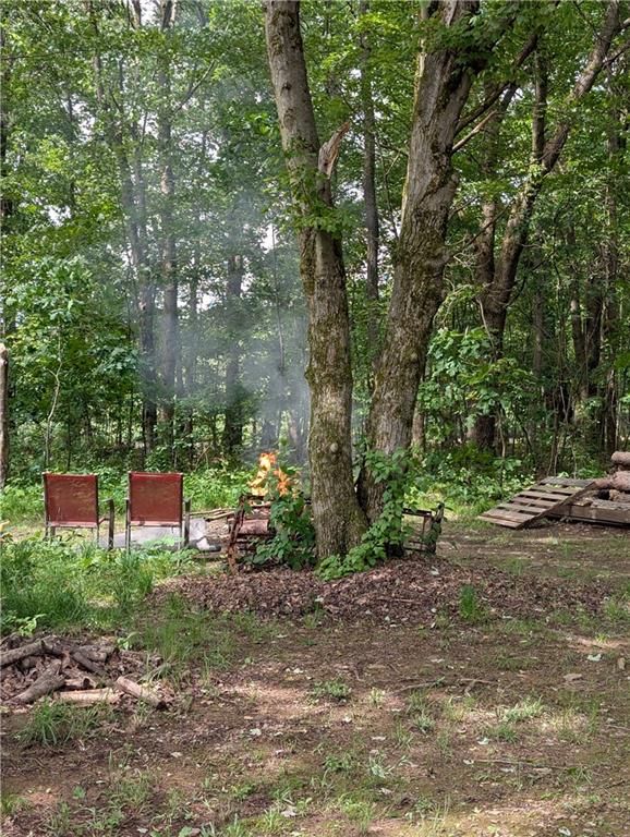 3046 Oneida Valley Road Hilliards, PA 16040 - Photo 25 of 28 Plenty of room for a campfire and a picnic