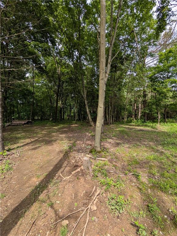 3046 Oneida Valley Road Hilliards, PA 16040 - Photo 27 of 28 Trails to walk through the woods.