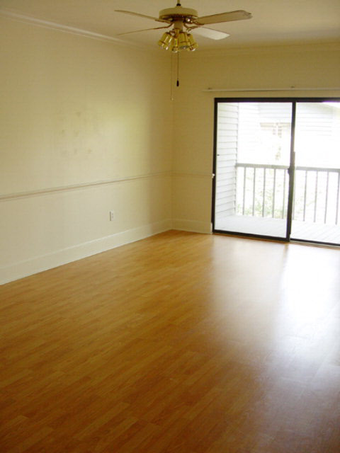 210 South Mobile Street, Unit 21 Fairhope, AL 36532 - Photo 3 of 18 LR from foyer