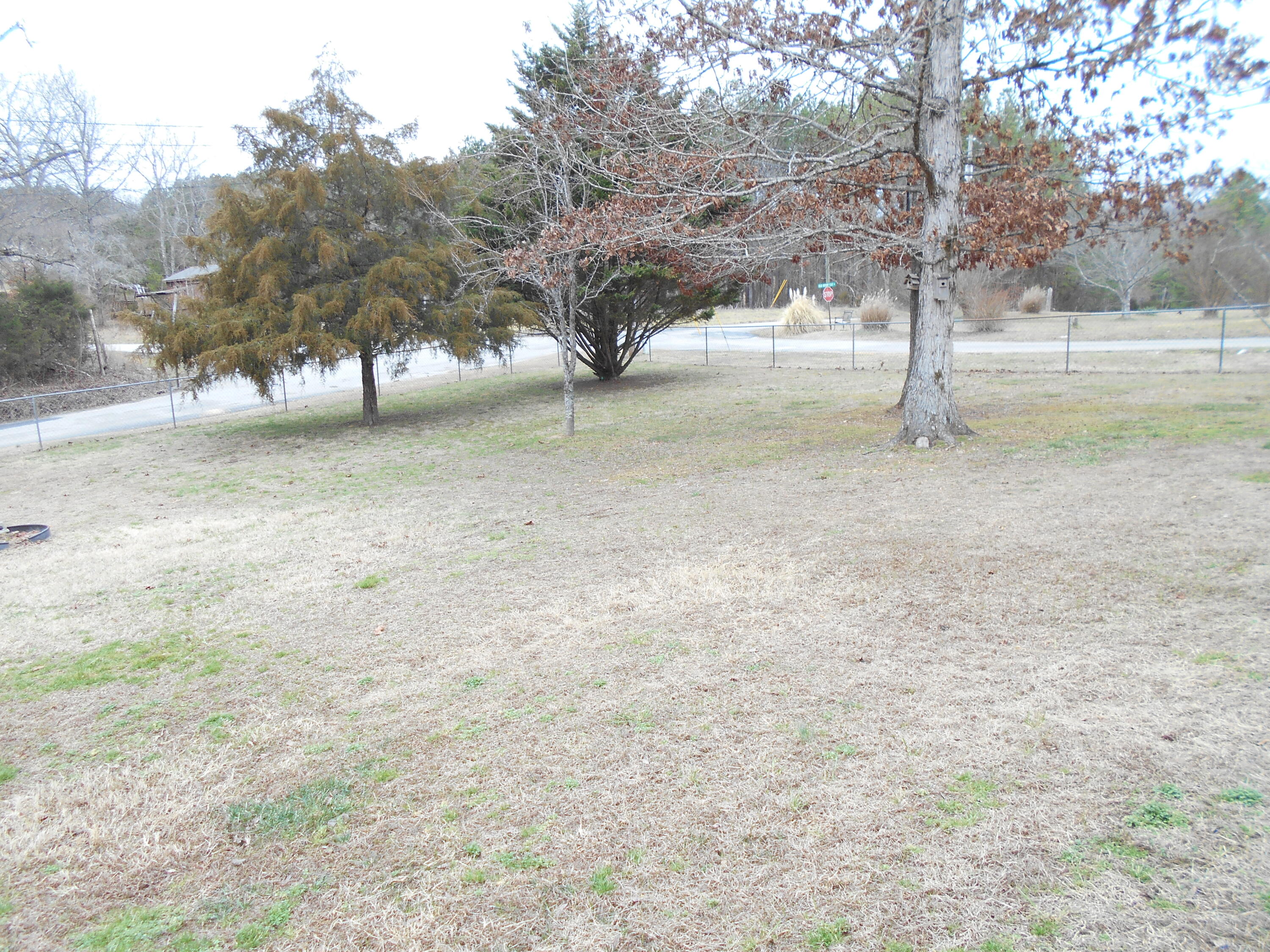 1620 Fezzell Road Decatur, TN 37322 - Photo 45 of 45 DSCN5200