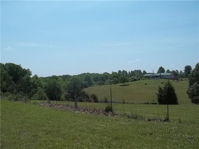 127 Bowen Road Hohenwald, TN 38462 - Photo 2 of 12 Back of property and house
