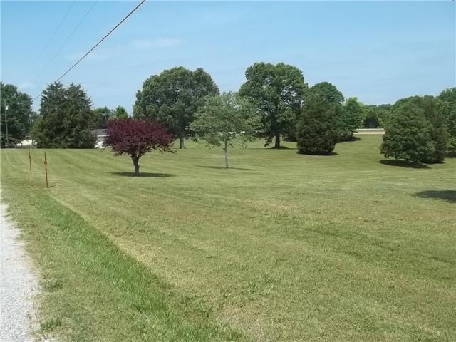 127 Bowen Road Hohenwald, TN 38462 - Photo 4 of 12 Property alongside road