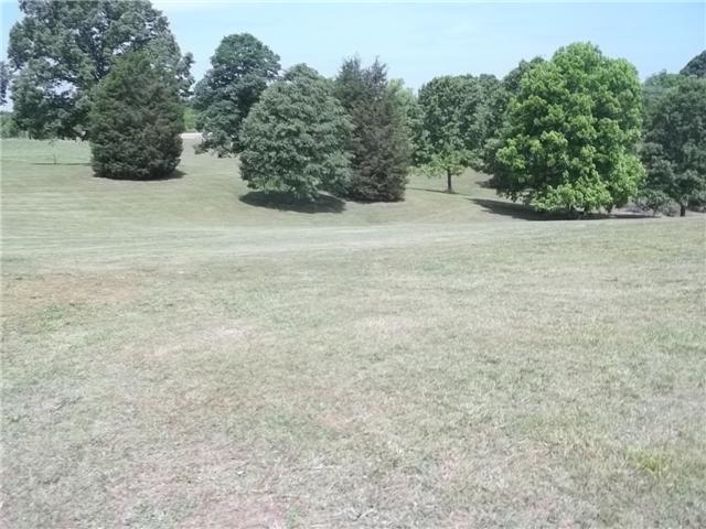 127 Bowen Road Hohenwald, TN 38462 - Photo 7 of 12 Side yard