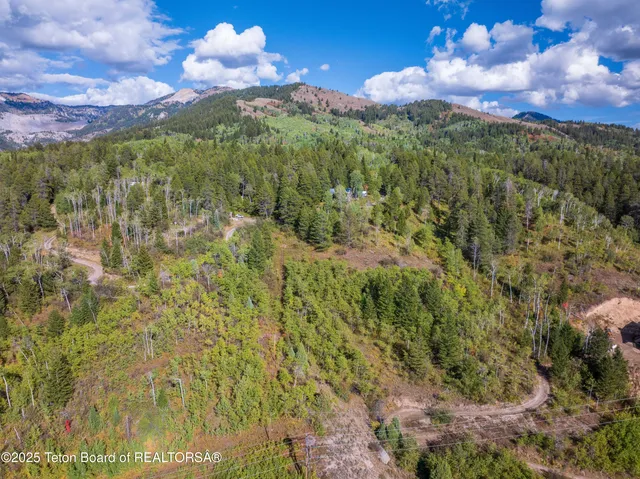 $249,999 | Tbd Kelloggs Lane, Irwin, ID 83428