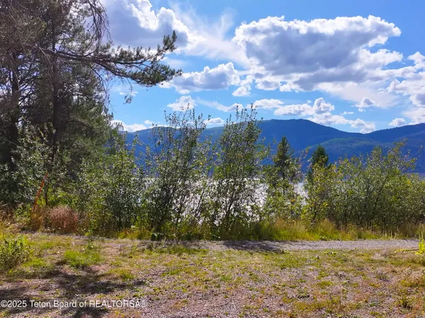 $249,999 | Tbd Kelloggs Lane, Irwin, ID 83428