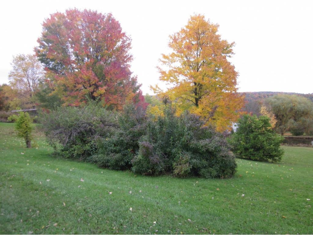 99 Dunbar Road Windsor, NY 13865 - Photo 21 of 24