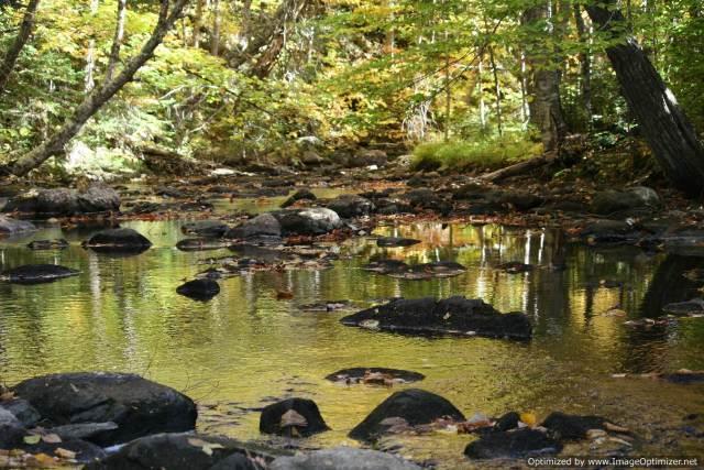 1 Pine Road Sandy River Plt, ME 04970 - Photo 1 of 21 Photo