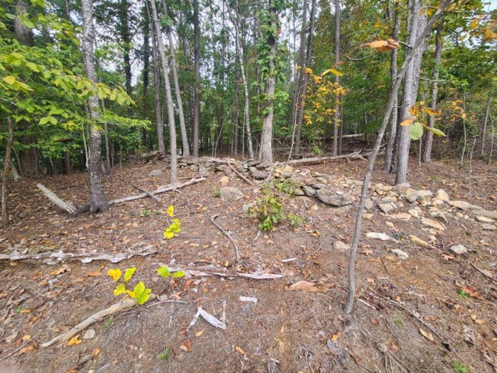 Lot 7 Kelley Ridge Road Seneca, SC 29672 - Photo 13 of 22 Gallery Image 13