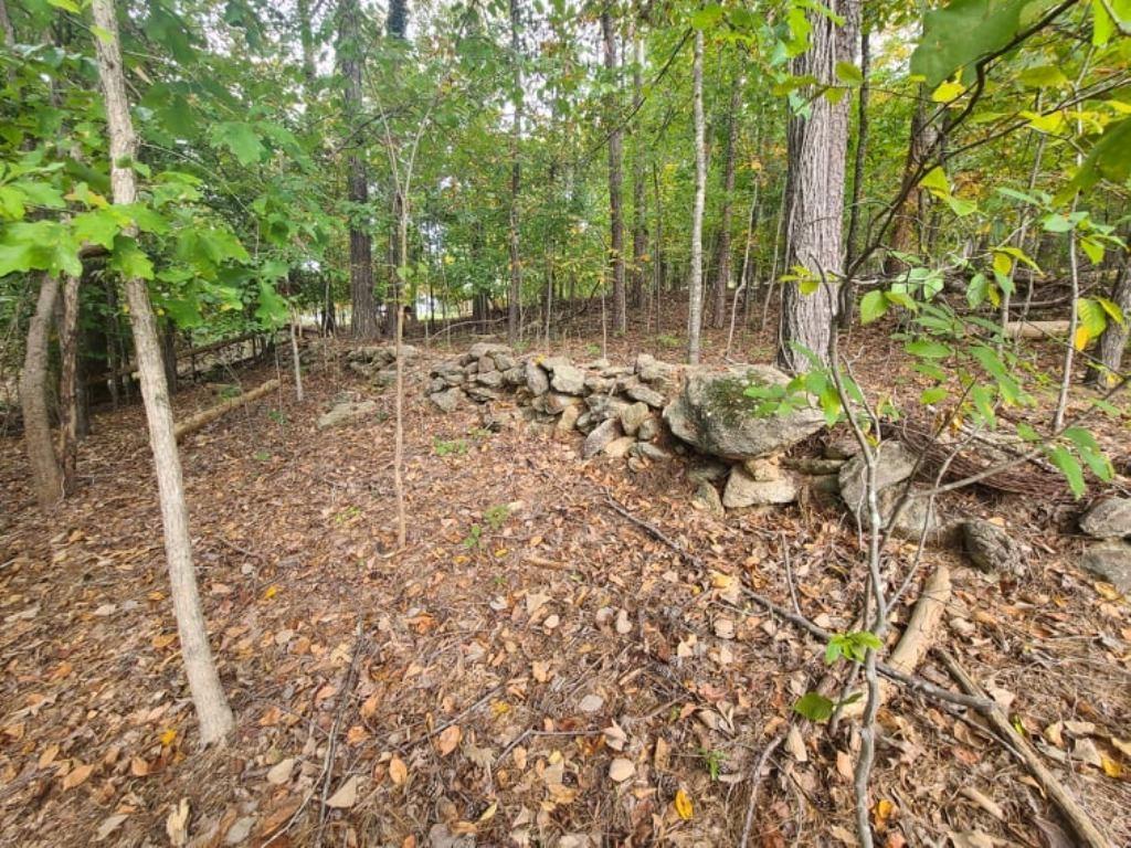 Lot 7 Kelley Ridge Road Seneca, SC 29672 - Photo 14 of 22 Gallery Image 14