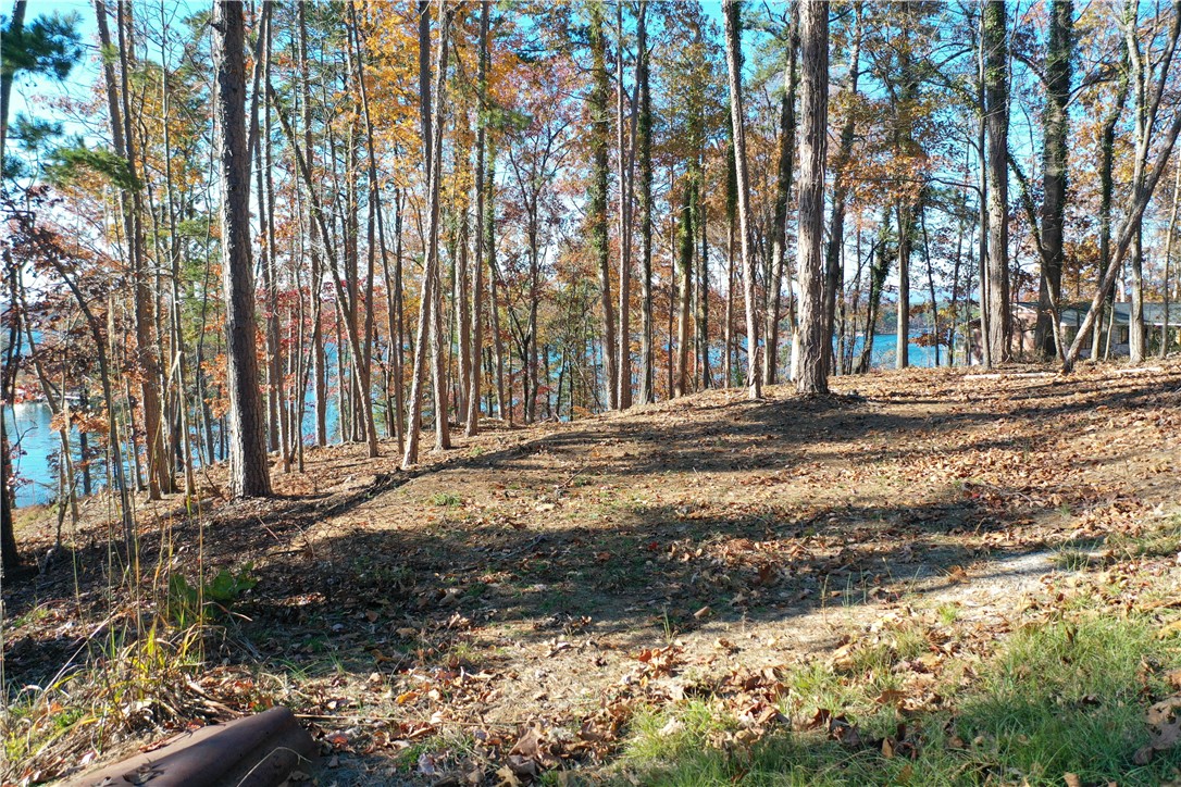 Lot 7 Kelley Ridge Road Seneca, SC 29672 - Photo 19 of 22 Gallery Image 19