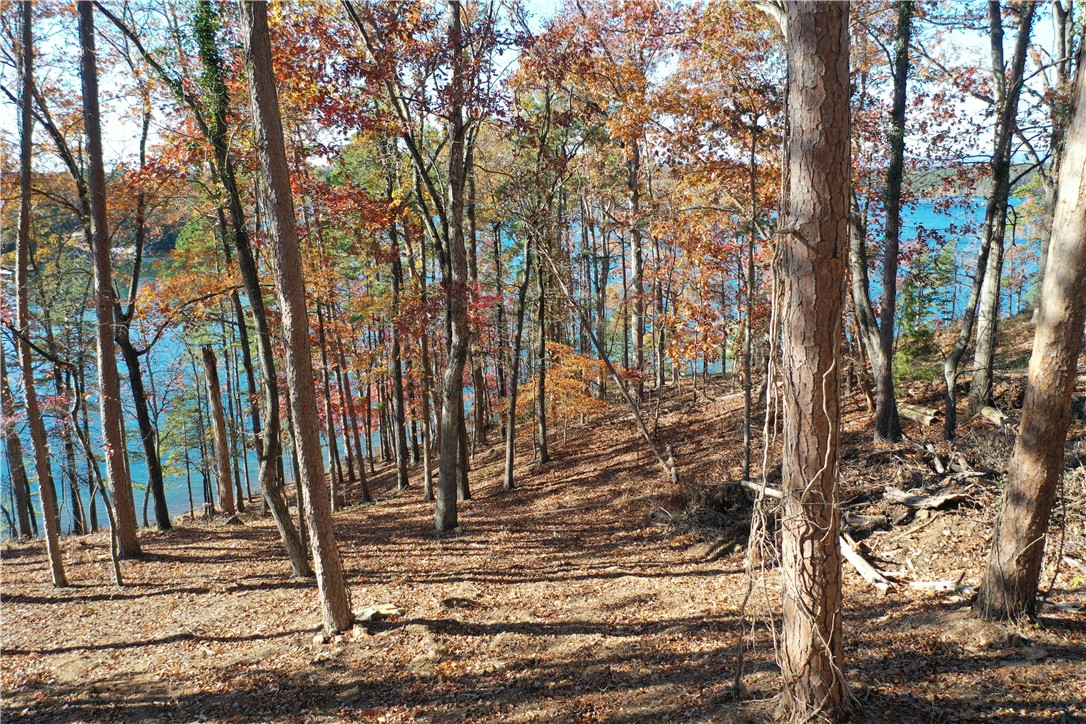 Lot 7 Kelley Ridge Road Seneca, SC 29672 - Photo 20 of 22 Gallery Image 20